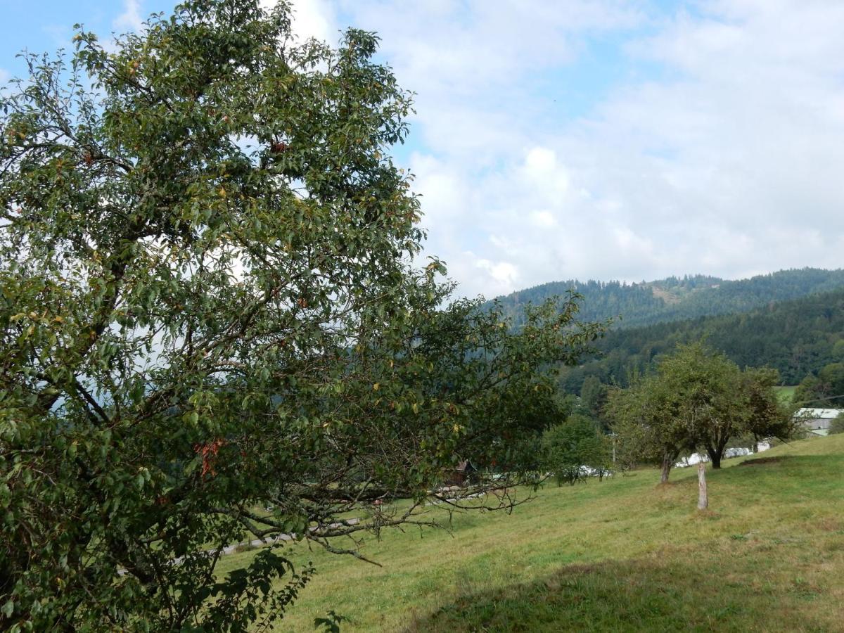 Charming Holiday Home Near The Ski Slopes Vagney Ngoại thất bức ảnh